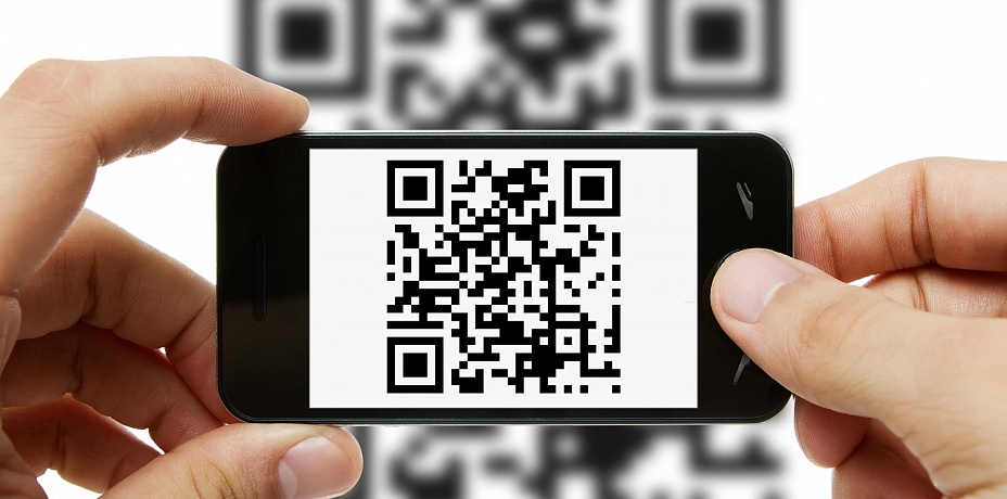 В Челябинской области готовятся к введению QR-кодов для посещения общественных мест