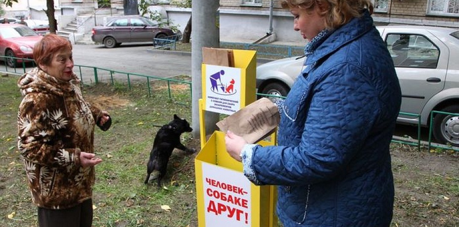 В Челябинске оборудуют места для выгула собак