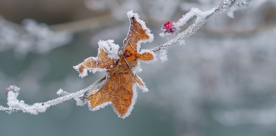 Понедельник в Челябинской области начнется со снега и заморозков
