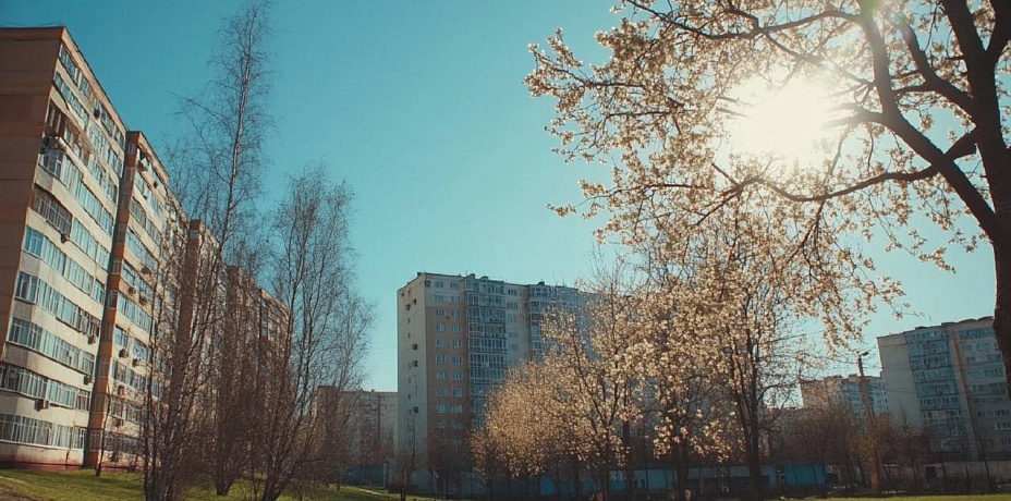 Челябинск украсят муралами с историческими фотографиями