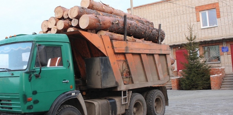 До 3 млн рублей штрафа или до 7 лет лишения свободы грозит жителям Увельского района, рубившим лес у Хуторки