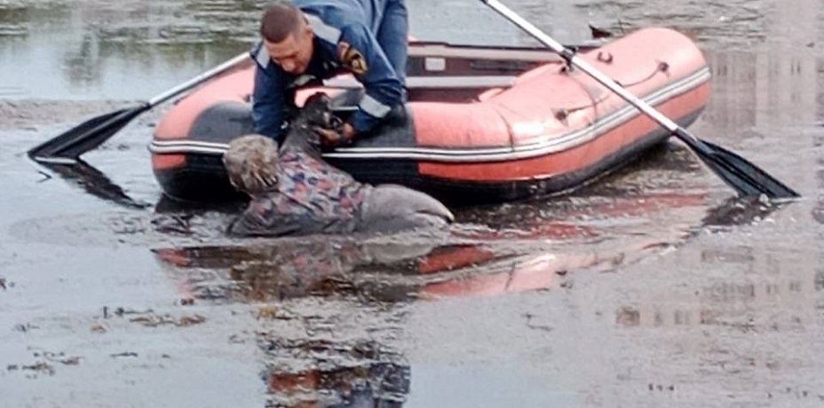Челябинские спасатели вытащили женщину из заболоченной части озера