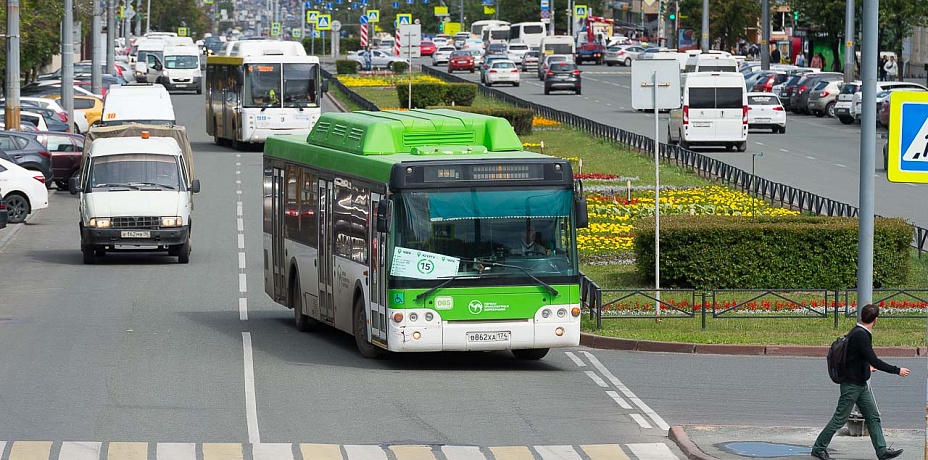 Экологичные зеленые автобусы привезут в Челябинск осенью