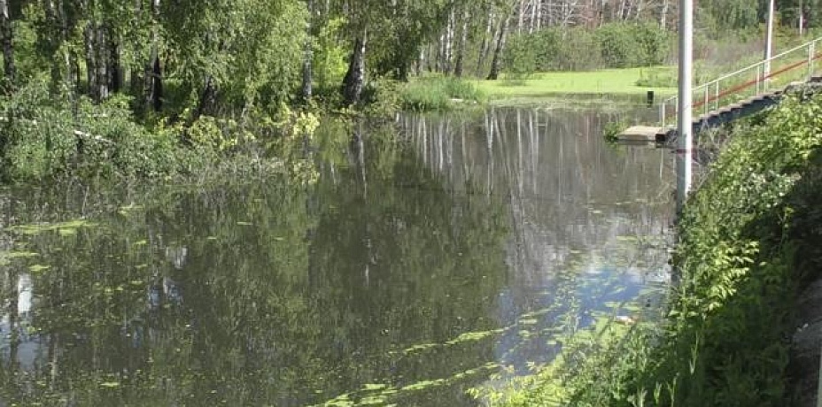 Лес в Чебаркуле защитят от сточных вод уже в 2018 году 