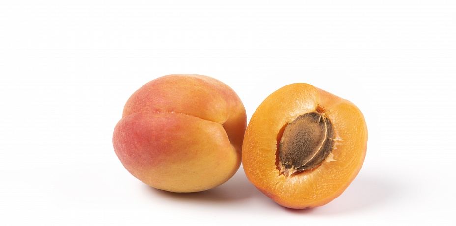 Южноуральские селекционеры вывели морозостойкий сорт абрикоса