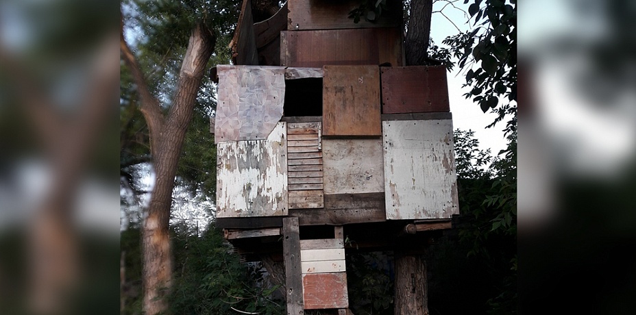 Взрослые заставили детей сломать деревянный дом на дереве в Копейске