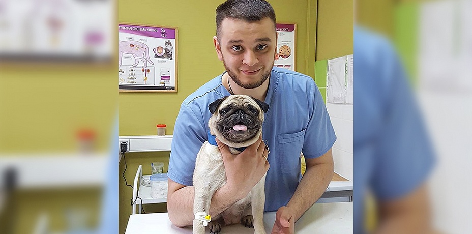 Челябинский ветеринар дает новую жизнь животным-смертникам