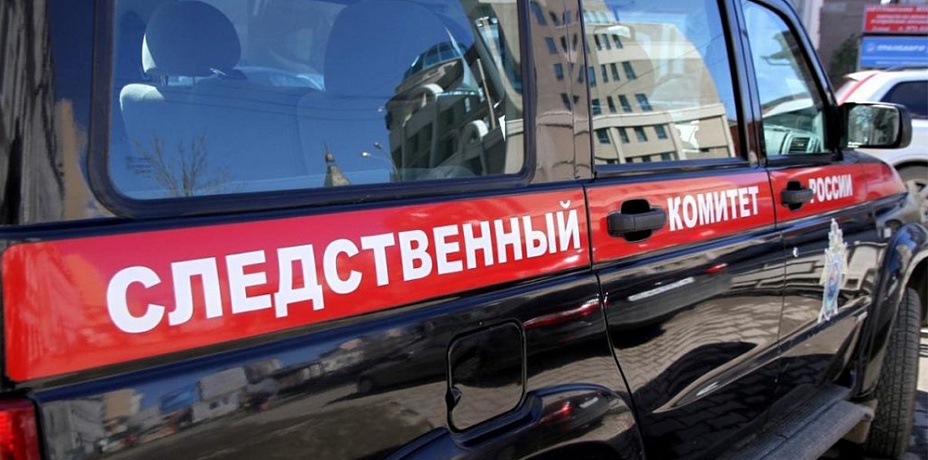 «Думал, мама просто уснула». На Урале шестилетний ребенок несколько дней провел с мертвой матерью